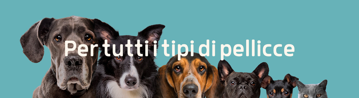 Bandiera Gialla Per Toelettatura Animali 3x5 Piedi + Asta Da 6 Piedi E Staffa - Foto 4